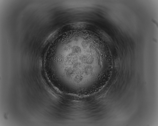 X0000093440733200710121332