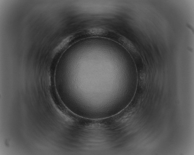 X0000093440734200710121332