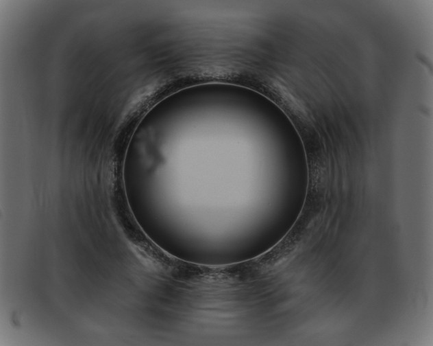 X0000093440736200710121332