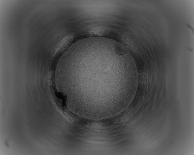 X0000093440738200710121332