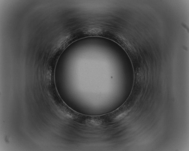 X0000093440739200710121332