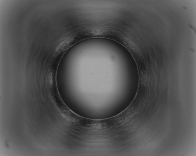 X0000093440740200710121332