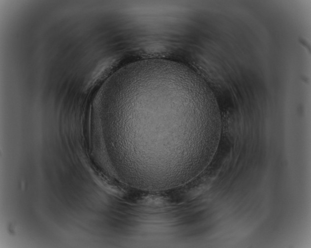 X0000093440742200710121332