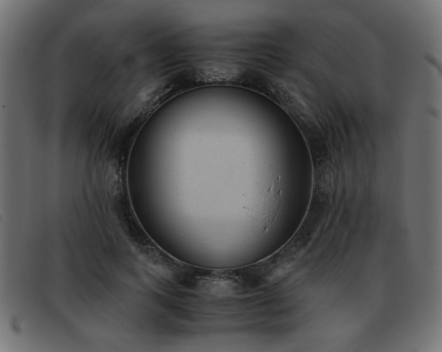 X0000093440743200710121332