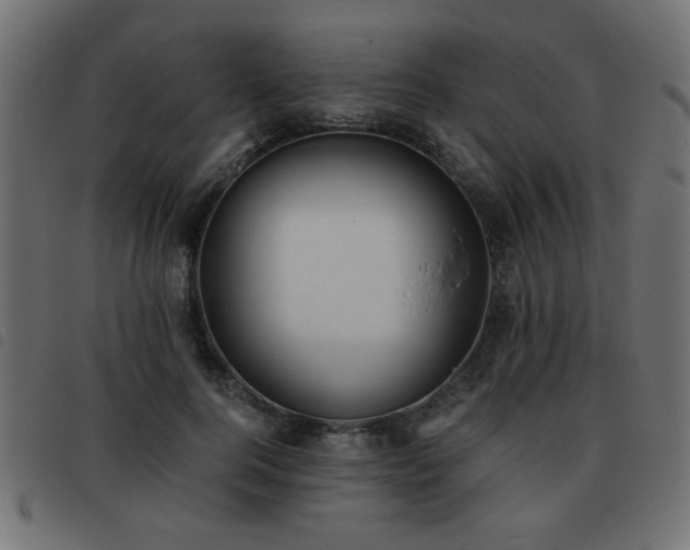 X0000093440744200710121333