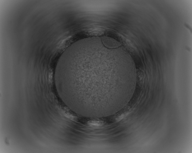X0000093440745200710121333