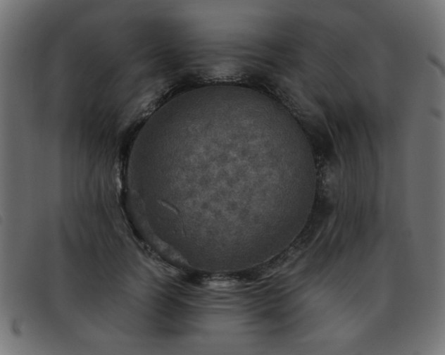 X0000093440746200710121333