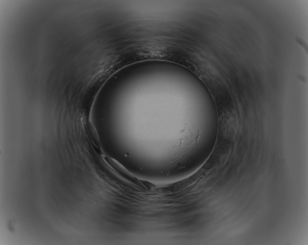 X0000093440747200710121333
