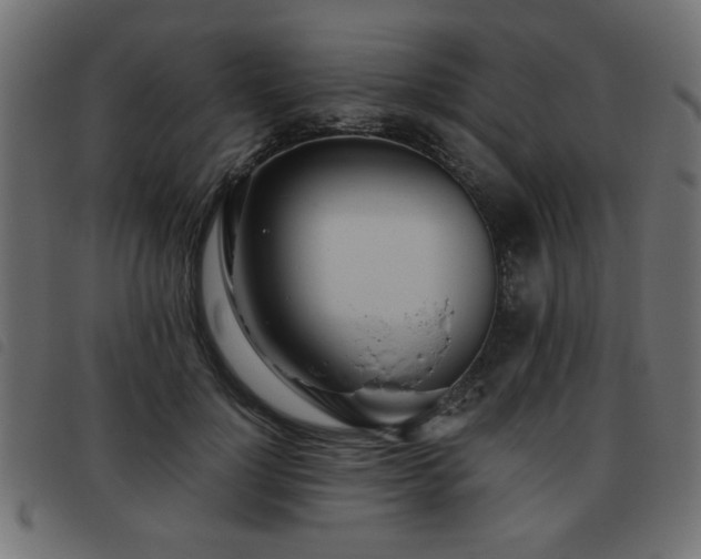 X0000093440748200710121333