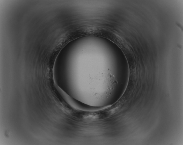 X0000093440750200710121333