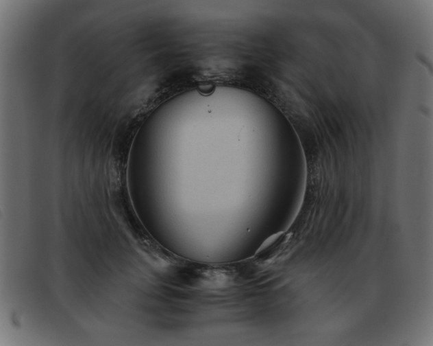 X0000093440751200710121333
