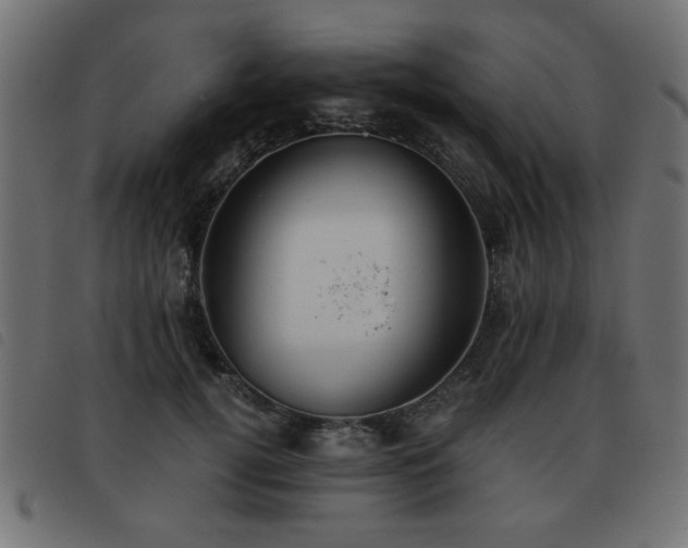 X0000093440752200710121333