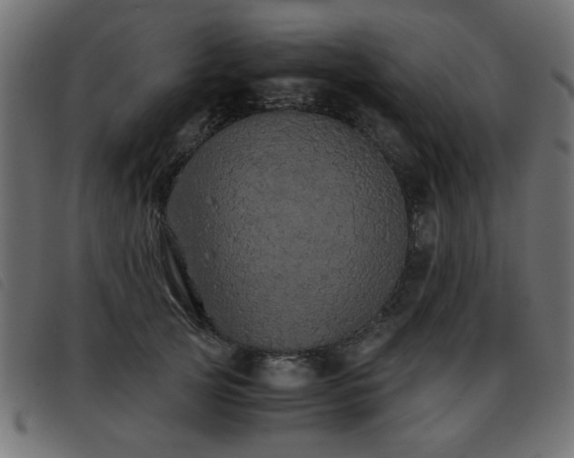 X0000093440753200710121333