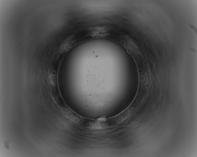 X0000093440755200710121333