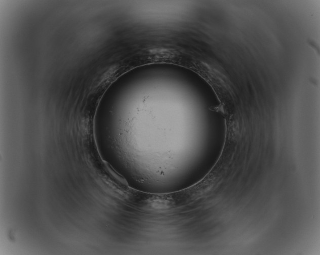 X0000093440756200710121333