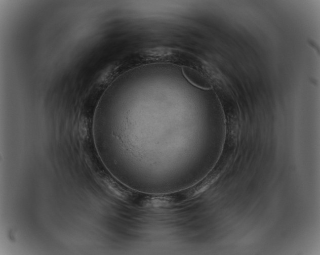 X0000093440758200710121333