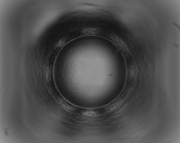 X0000093440759200710121333