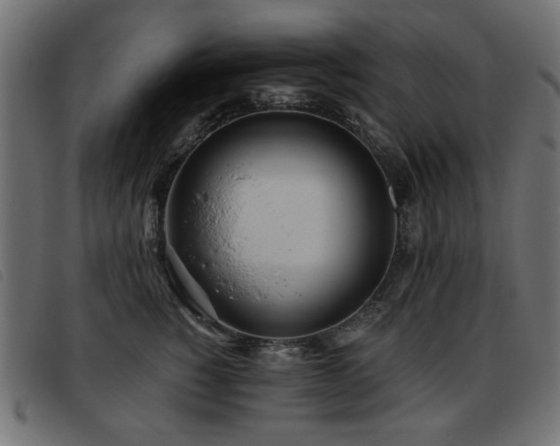X0000093440760200710121333