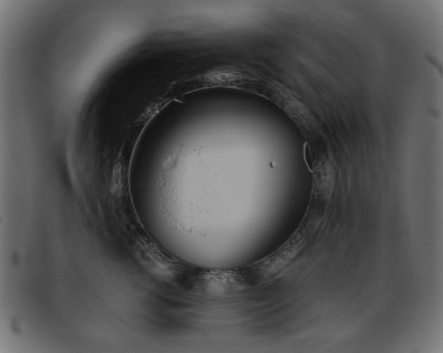 X0000093440762200710121333