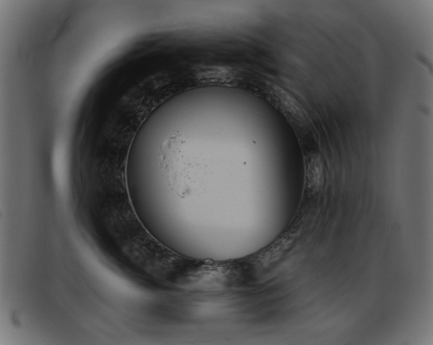 X0000093440764200710121333