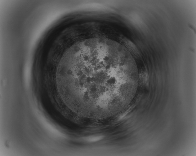 X0000093440765200710121333