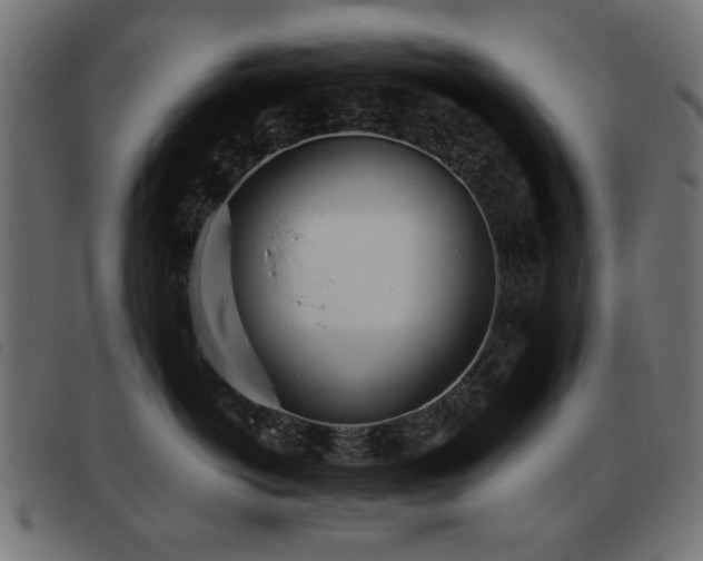 X0000093440766200710121333