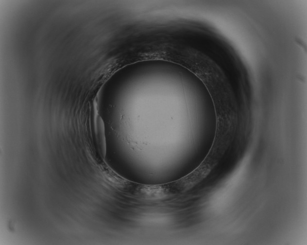 X0000093440767200710121333