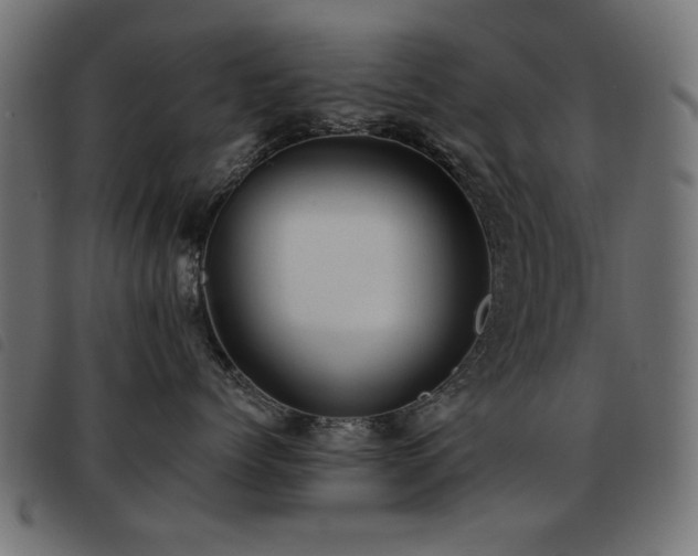X0000093440768200710121333
