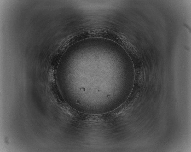 X0000093440770200710121332
