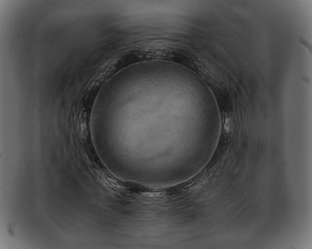 X0000093440771200710121332