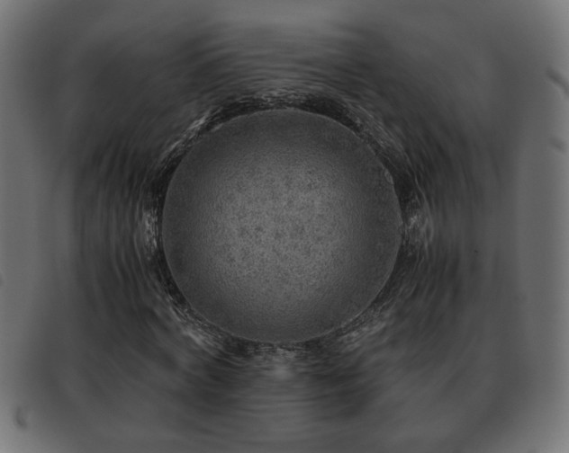 X0000093440772200710121332