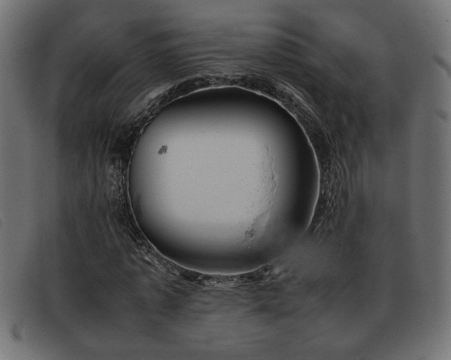 X0000093440773200710121332