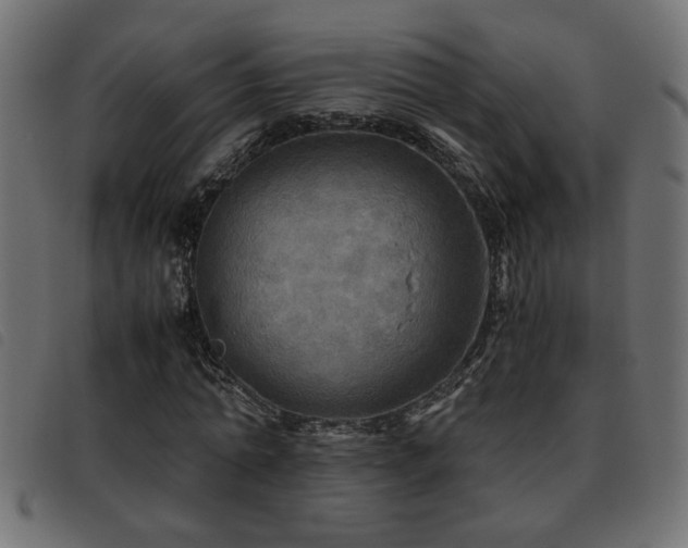X0000093440774200710121332