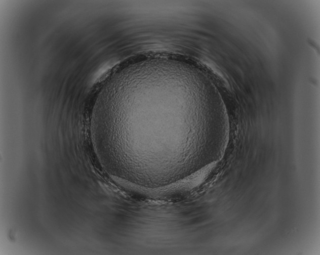X0000093440775200710121332
