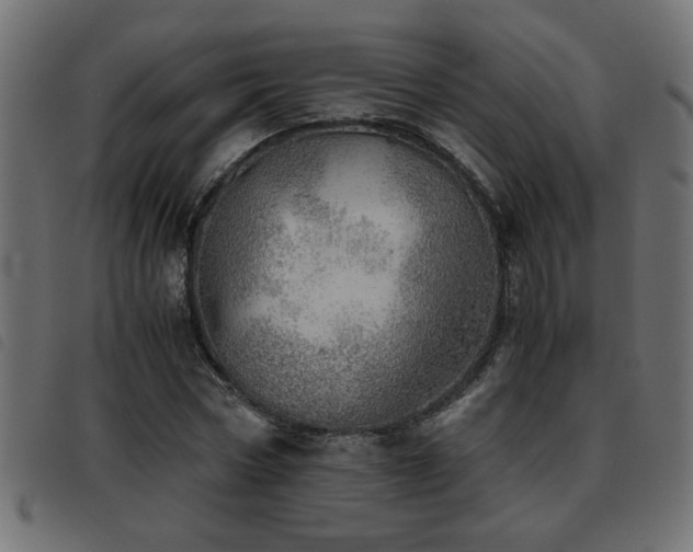 X0000093440778200710121332