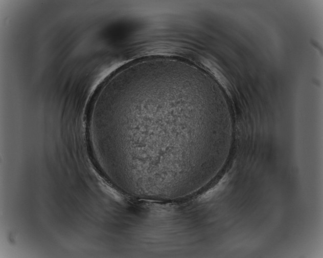 X0000093440779200710121332