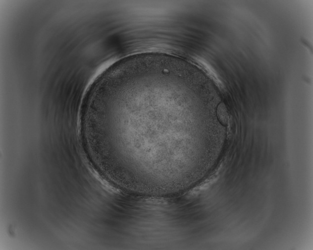 X0000093440780200710121332