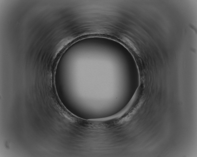 X0000093440781200710121332