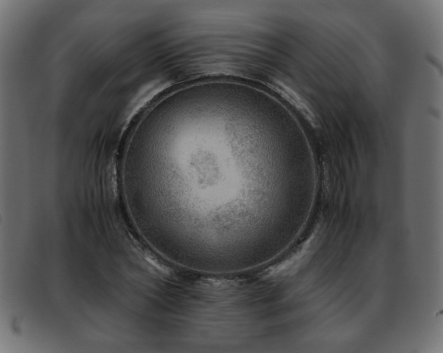 X0000093440782200710121332