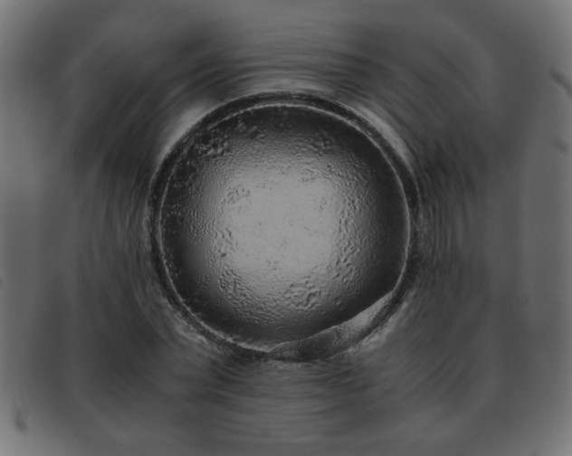 X0000093440783200710121332