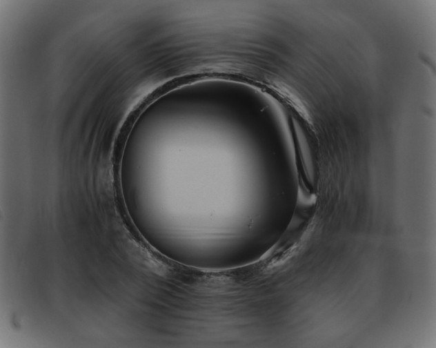 X0000093440784200710121332