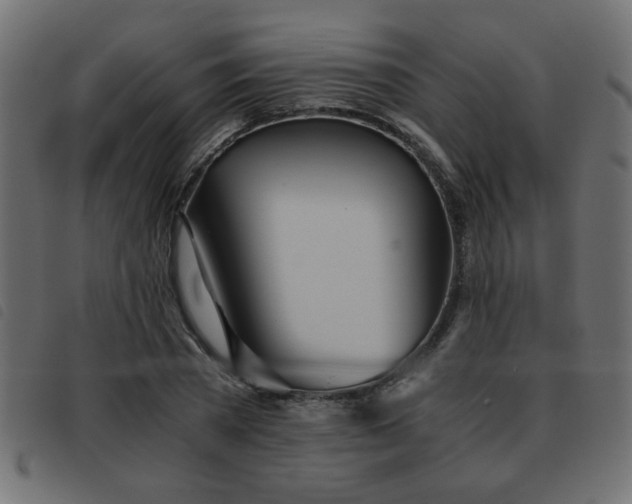 X0000093440785200710121332