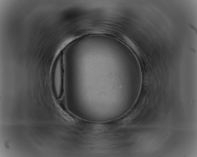 X0000093440787200710121332