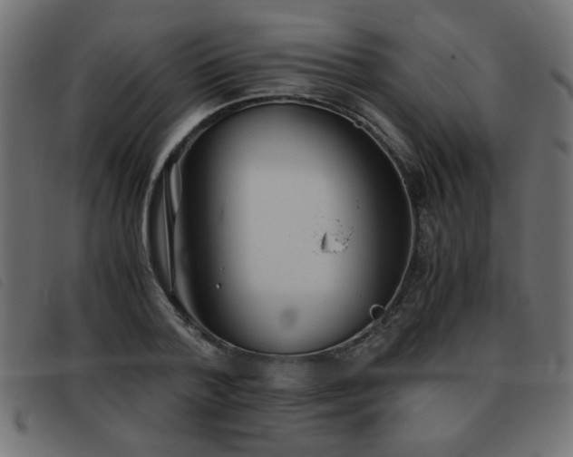 X0000093440788200710121332
