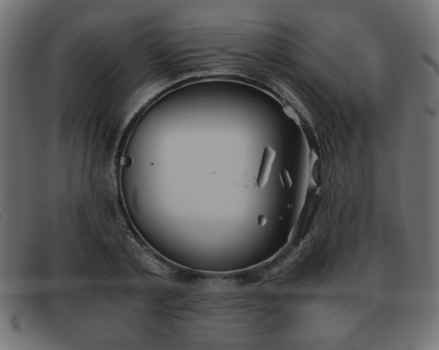 X0000093440789200710121332