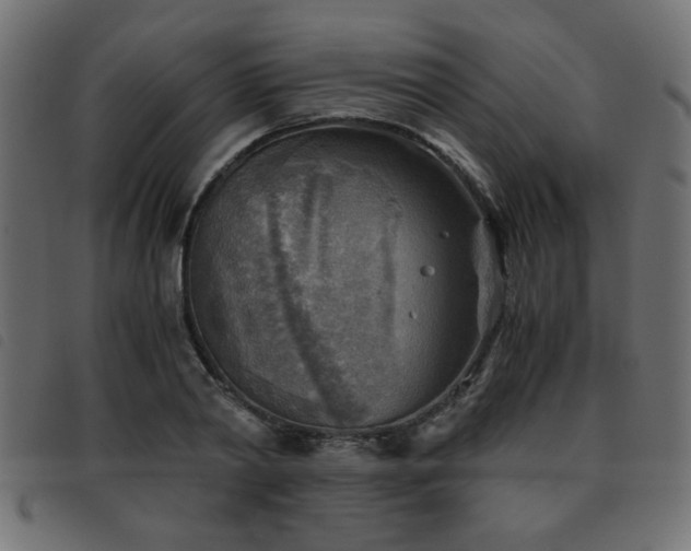 X0000093440790200710121332