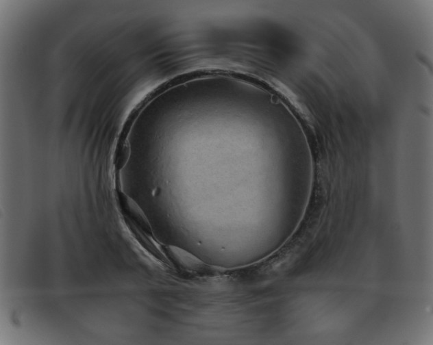 X0000093440791200710121332