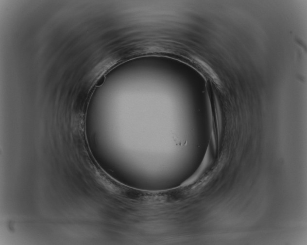 X0000093440793200710121332