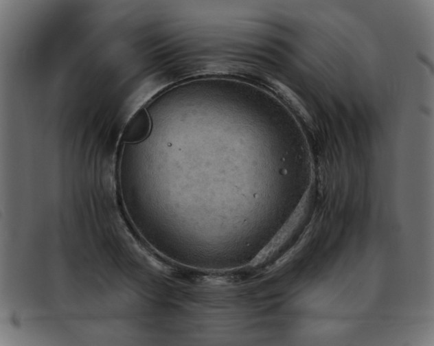X0000093440794200710121332