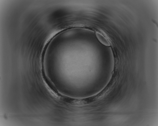 X0000093440795200710121332